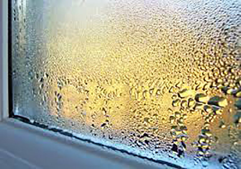 mould growth on window