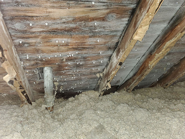 structural damage in attic
